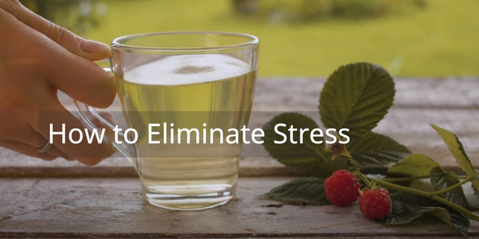 Campbell Meditation Tips – How to Eliminate Stress