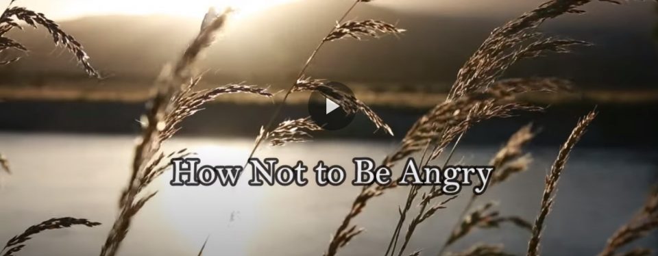 Campbell Meditation Tips – Anger Management